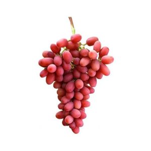 عنب كرمسون احمر